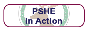 PSHE in Action